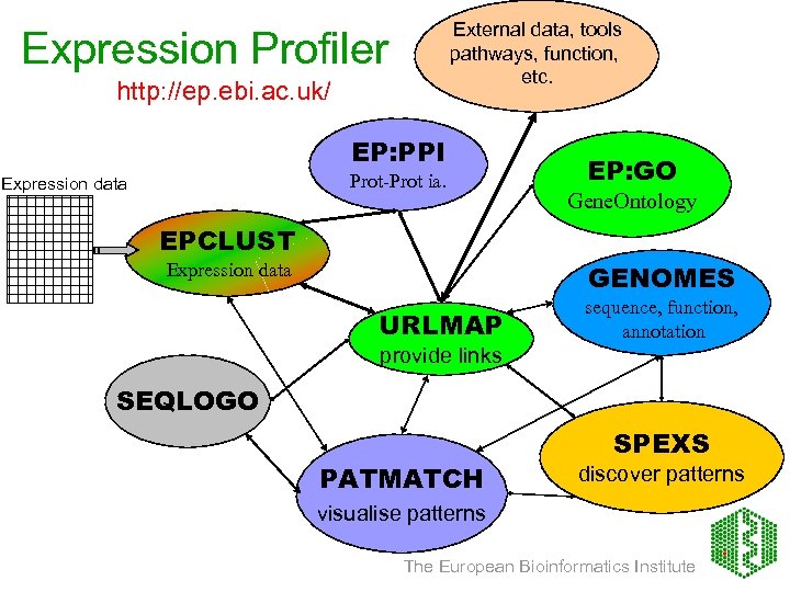 External data, tools pathways, function, etc. Expression Profiler http: //ep. ebi. ac. uk/ EP: