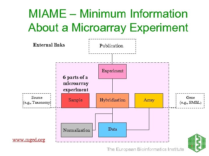 MIAME – Minimum Information About a Microarray Experiment External links Publication Experiment 6 parts