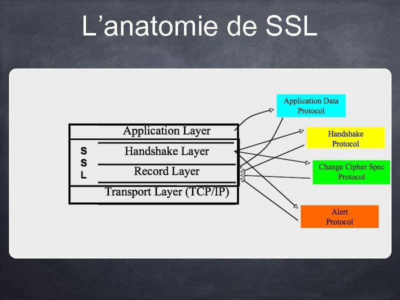 L’anatomie de SSL 