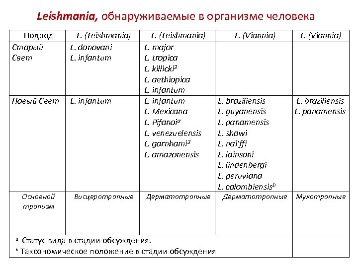 Leishmania, обнаруживаемые в организме человека Подрод Старый Свет L. (Leishmania) L. donovani L. infantum