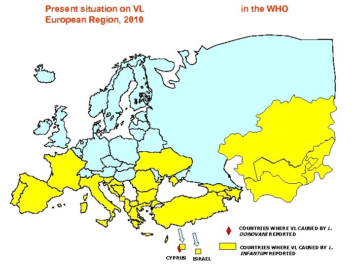 Present situation on VL European Region, 2010 in the WHO COUNTRIES WHERE VL CAUSED