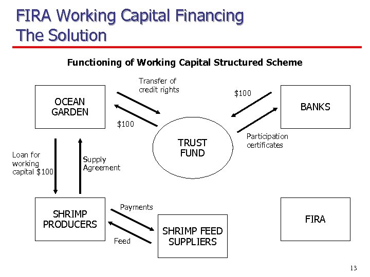 FIRA Working Capital Financing The Solution Functioning of Working Capital Structured Scheme Transfer of