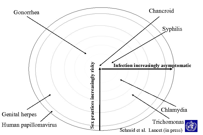 Chancroid Gonorrhea Genital herpes Human papillomavirus Sex practices increasingly risky Syphilis Infection increasingly asymptomatic