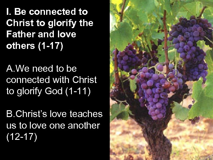 I. Be connected to Christ to glorify the Father and love others (1 -17)