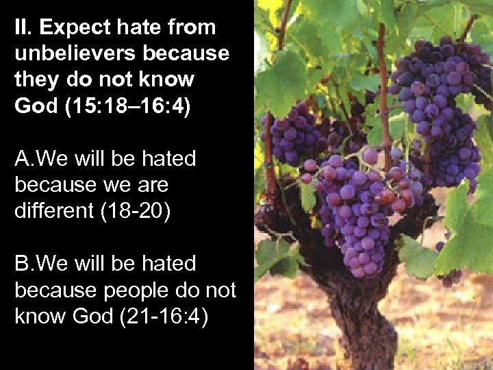 II. Expect hate from unbelievers because they do not know God (15: 18– 16: