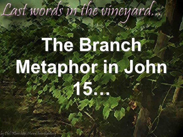 The Branch Metaphor in John 15… 