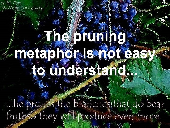 The pruning metaphor is not easy to understand. . . 