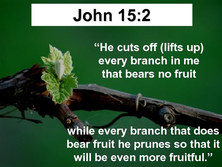 John 15: 2 “He cuts off (lifts up) every branch in me that bears