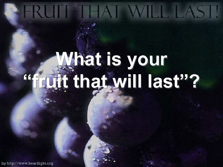 What is your “fruit that will last”? 