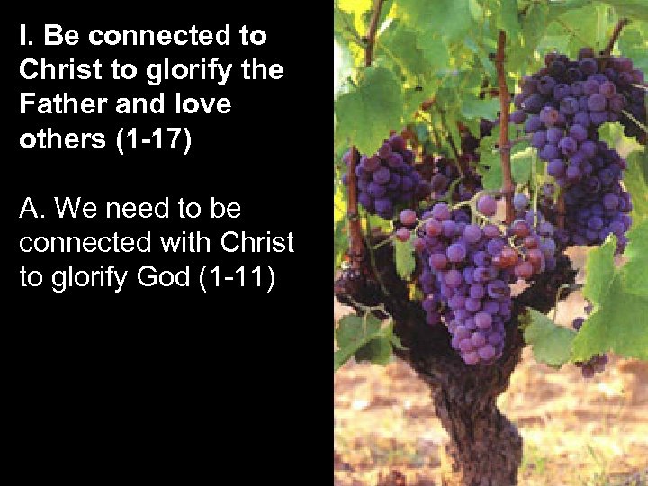 I. Be connected to Christ to glorify the Father and love others (1 -17)