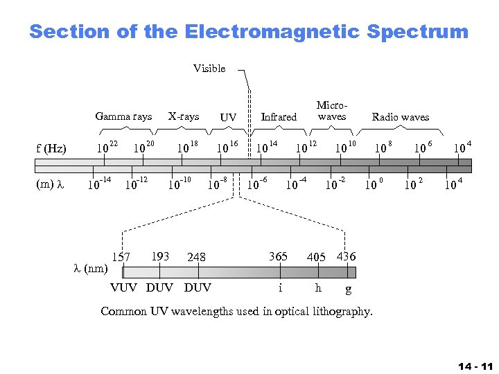 Section of the Electromagnetic Spectrum Visible Gamma rays f (Hz) (m) 10 10 22