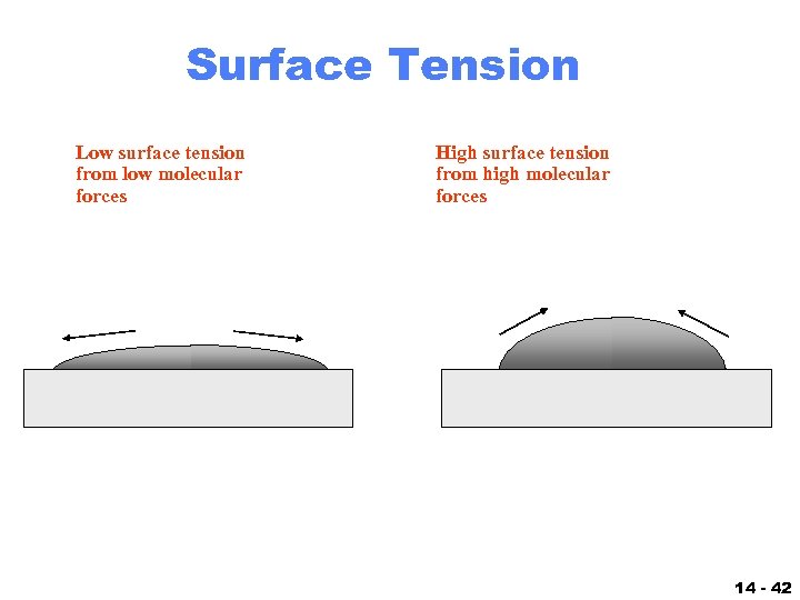 Surface Tension Low surface tension from low molecular forces High surface tension from high