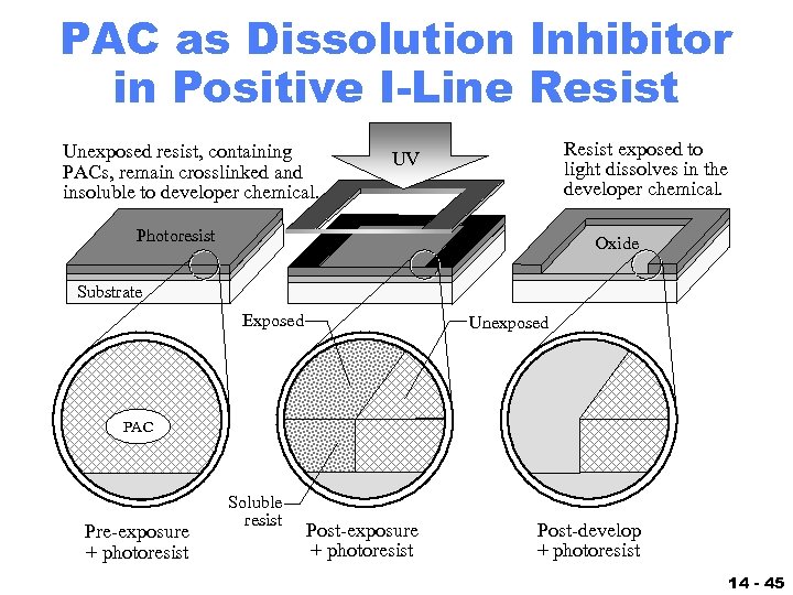 PAC as Dissolution Inhibitor in Positive I-Line Resist Unexposed resist, containing PACs, remain crosslinked