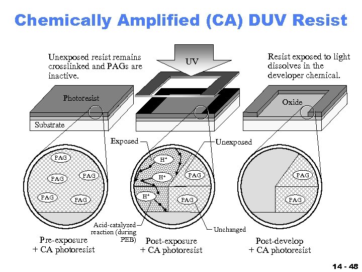 Chemically Amplified (CA) DUV Resist Unexposed resist remains crosslinked and PAGs are inactive. Resist