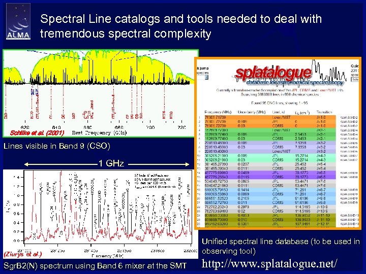 Spectral Line catalogs and tools needed to deal with tremendous spectral complexity Schilke et