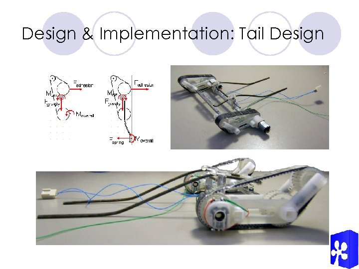Design & Implementation: Tail Design 