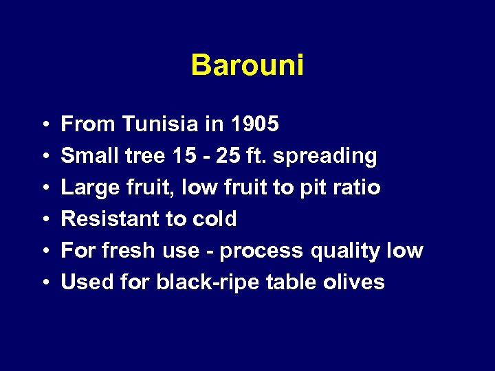 Barouni • • • From Tunisia in 1905 Small tree 15 - 25 ft.