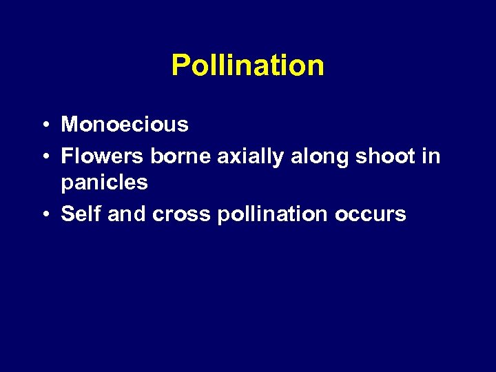Pollination • Monoecious • Flowers borne axially along shoot in panicles • Self and