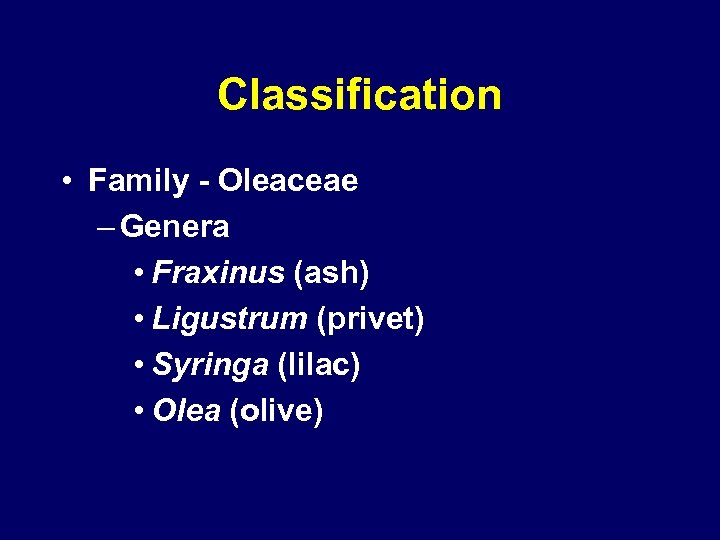 Classification • Family - Oleaceae – Genera • Fraxinus (ash) • Ligustrum (privet) •