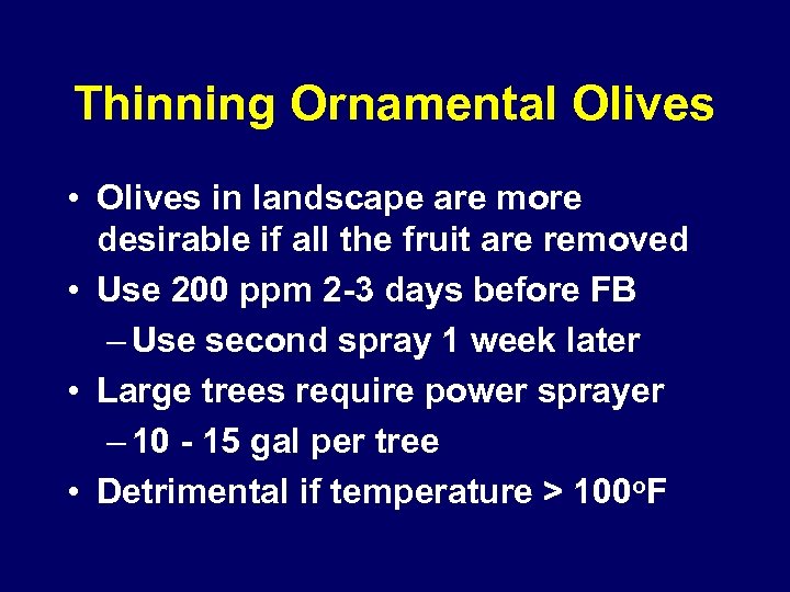Thinning Ornamental Olives • Olives in landscape are more desirable if all the fruit