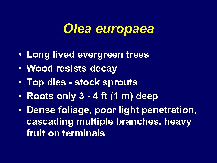 Olea europaea • • • Long lived evergreen trees Wood resists decay Top dies
