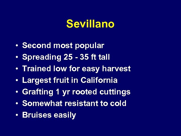 Sevillano • • Second most popular Spreading 25 - 35 ft tall Trained low