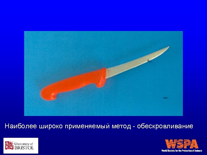 Наиболее широко применяемый метод - обескровливание 