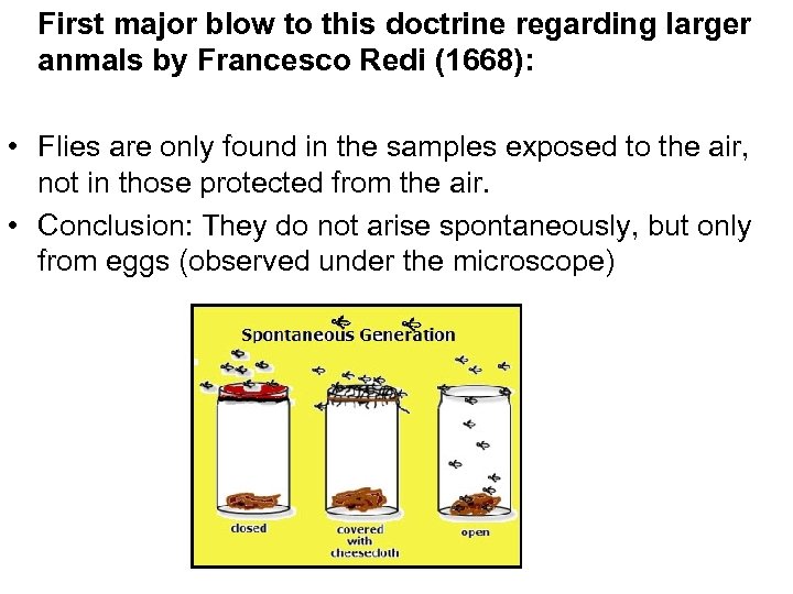 First major blow to this doctrine regarding larger anmals by Francesco Redi (1668): •