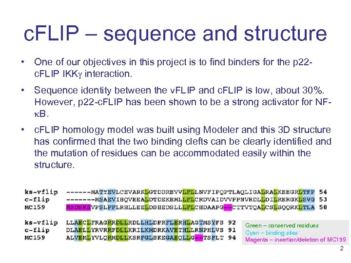 c. FLIP – sequence and structure • One of our objectives in this project