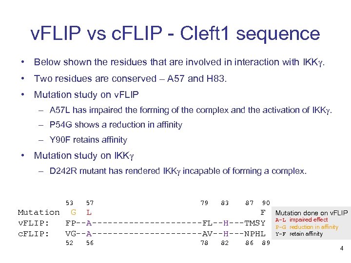 v. FLIP vs c. FLIP - Cleft 1 sequence • Below shown the residues
