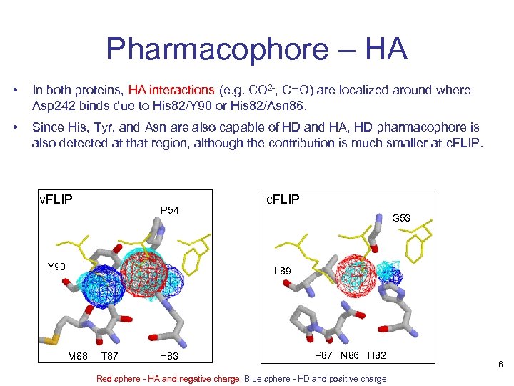 Pharmacophore – HA • In both proteins, HA interactions (e. g. CO 2 -,
