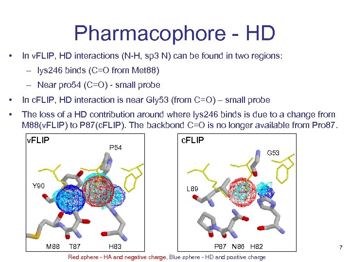 Pharmacophore - HD • In v. FLIP, HD interactions (N-H, sp 3 N) can