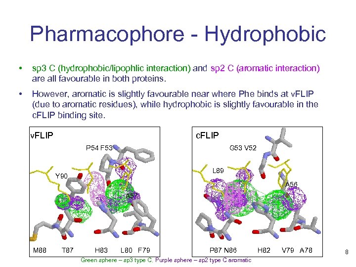 Pharmacophore - Hydrophobic • sp 3 C (hydrophobic/lipophlic interaction) and sp 2 C (aromatic