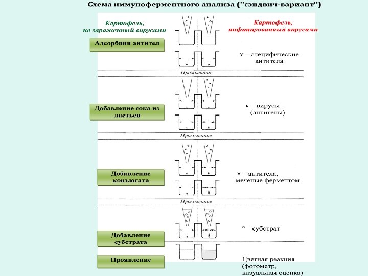 Схема конкурентного ифа