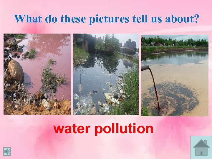 What do these pictures tell us about? water pollution 