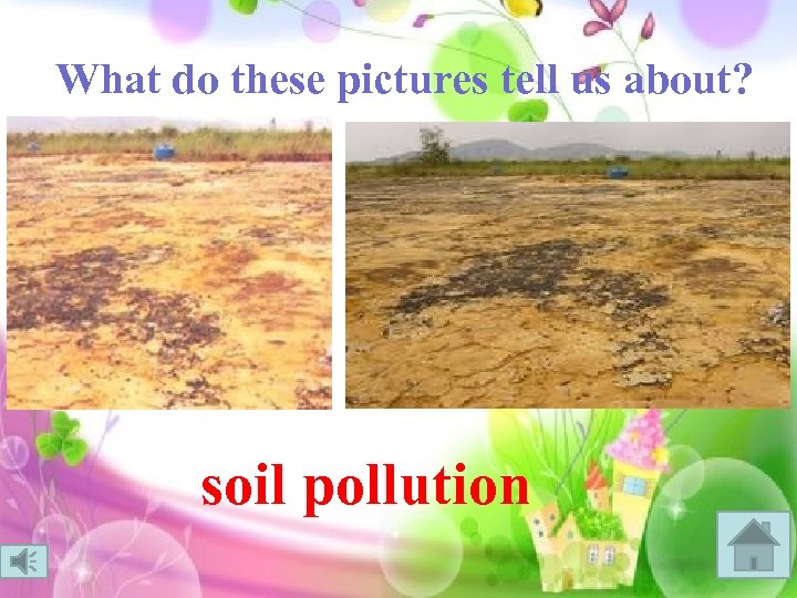 What do these pictures tell us about? soil pollution 