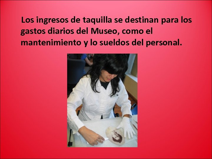 Los ingresos de taquilla se destinan para los gastos diarios del Museo, como el