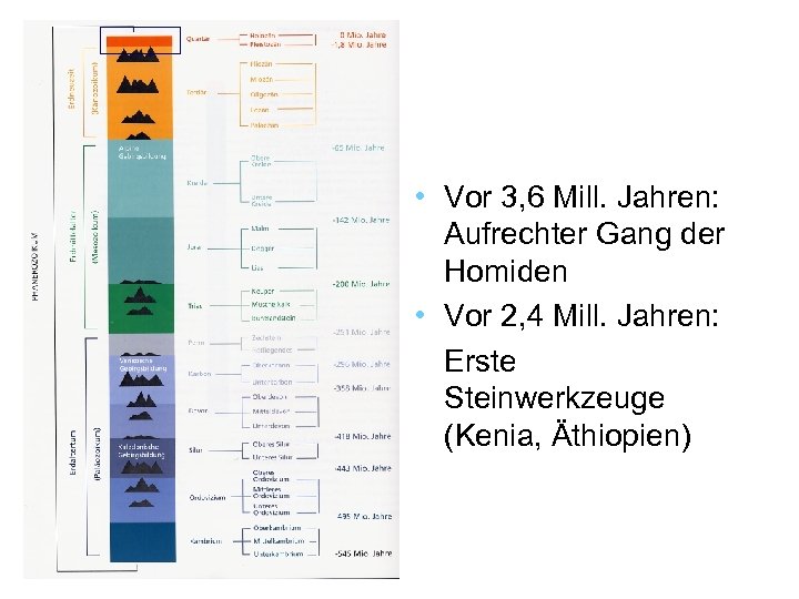  • Vor 3, 6 Mill. Jahren: Aufrechter Gang der Homiden • Vor 2,