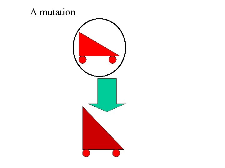 A mutation 