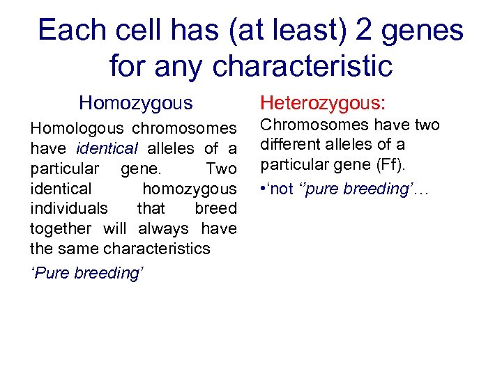 Each cell has (at least) 2 genes for any characteristic Homozygous Homologous chromosomes have