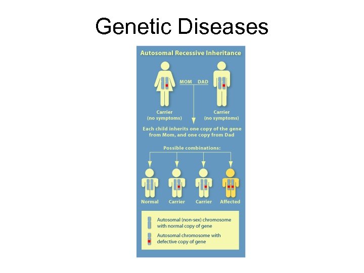 Genetic Diseases 