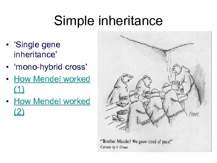 Simple inheritance • ‘Single gene inheritance’ • ‘mono-hybrid cross’ • How Mendel worked (1)