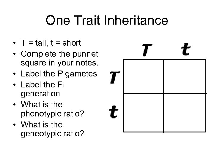 One Trait Inheritance • T = tall, t = short • Complete the punnet