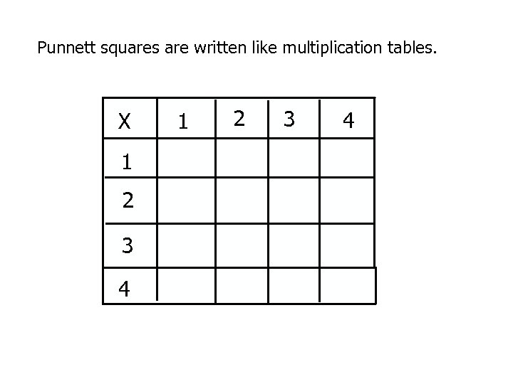 Punnett squares are written like multiplication tables. X 1 2 3 4 