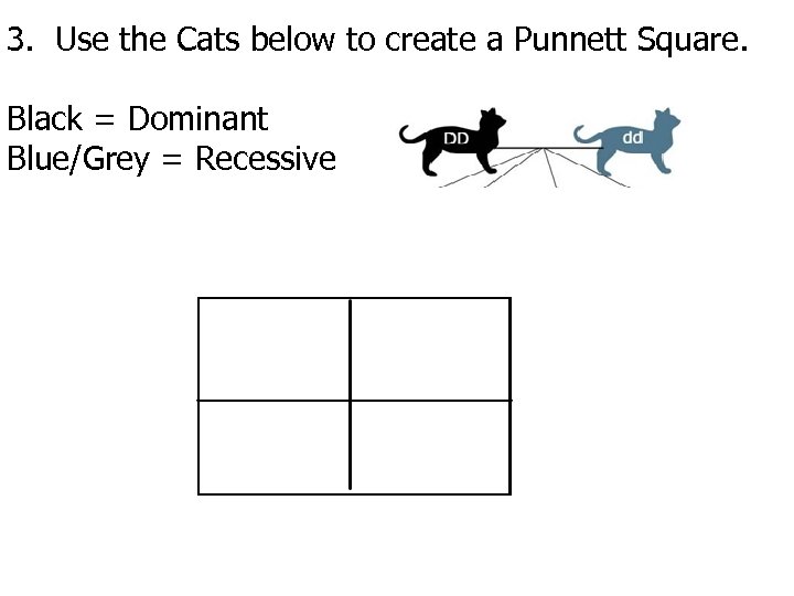 3. Use the Cats below to create a Punnett Square. Black = Dominant Blue/Grey