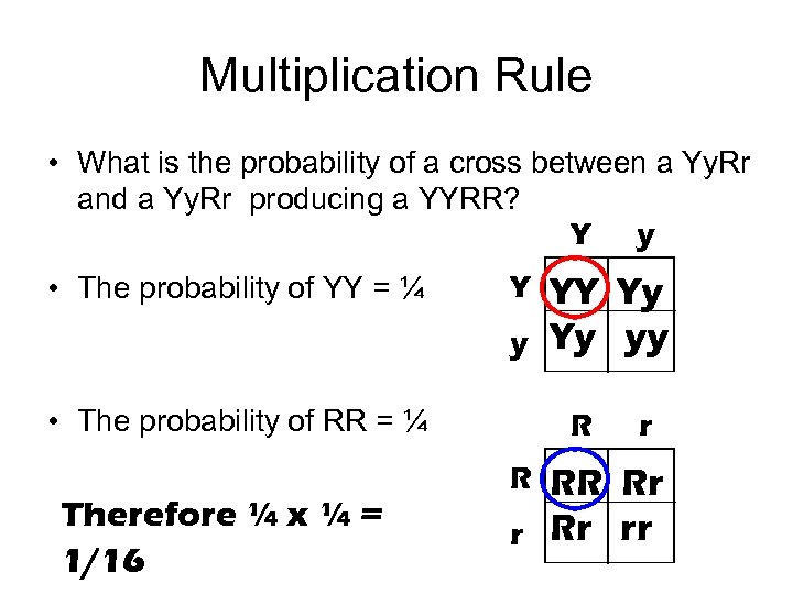 Multiplication Rule • What is the probability of a cross between a Yy. Rr