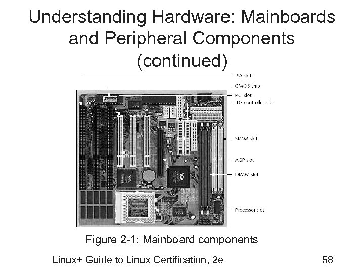 Understanding Hardware: Mainboards and Peripheral Components (continued) Figure 2 -1: Mainboard components Linux+ Guide