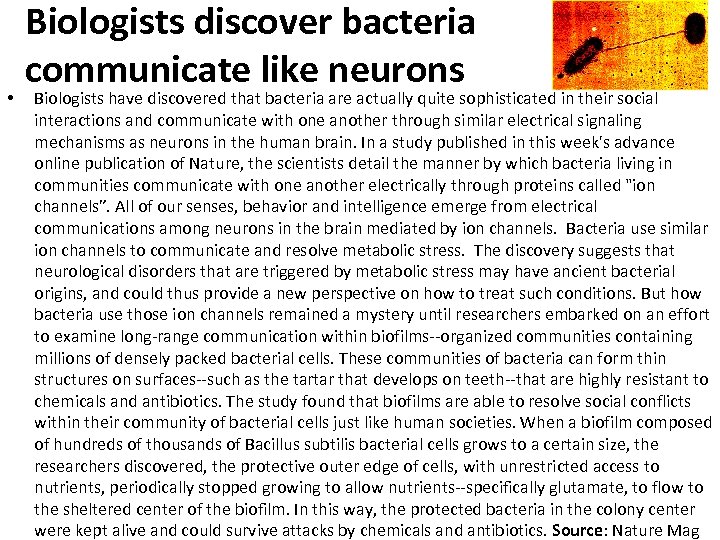  • Biologists discover bacteria communicate like neurons Biologists have discovered that bacteria are