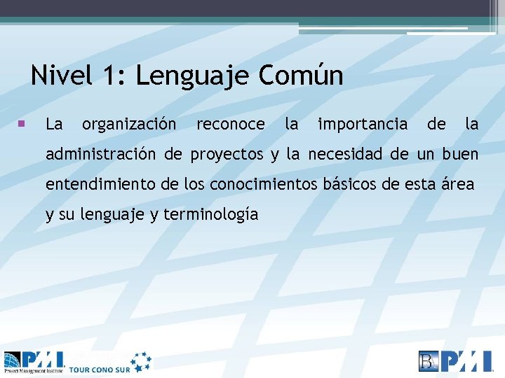 Nivel 1: Lenguaje Común La organización reconoce la importancia de la administración de proyectos