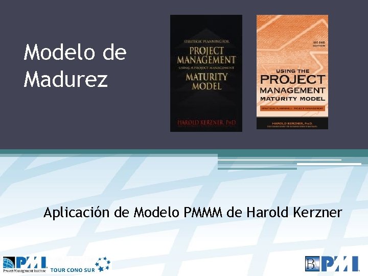 Modelo de Madurez Aplicación de Modelo PMMM de Harold Kerzner 